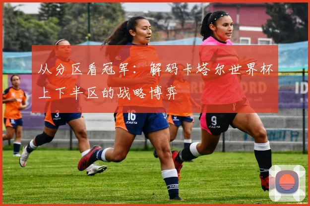 从分区看冠军：解码卡塔尔世界杯上下半区的战略博弈